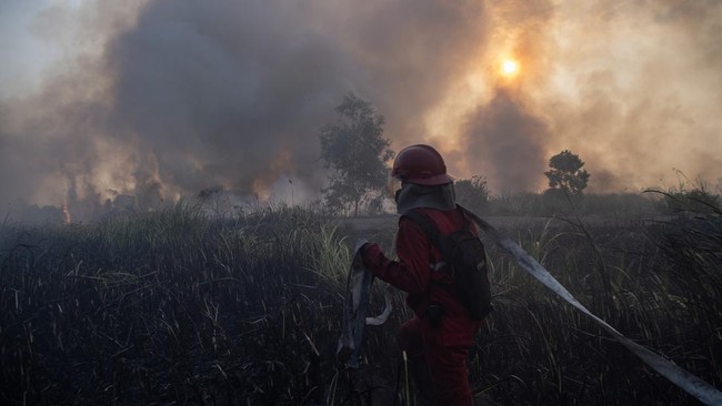Update Karhutla: Hotspot Kalbar Melonjak, Kalsel dan Kalteng Justru Menurun