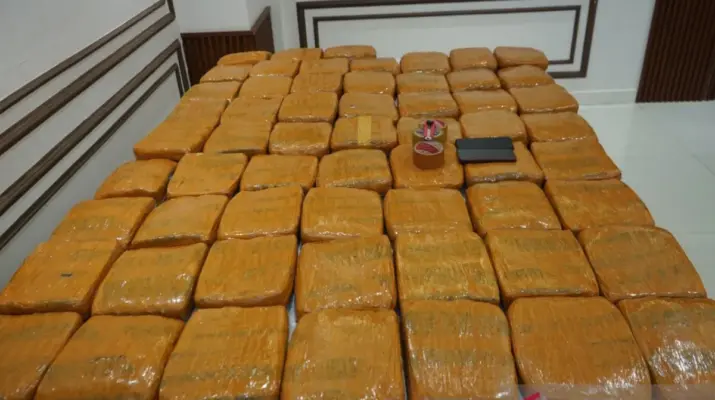 Polda Metro Bongkar Peredaran 62,5 Kg Ganja di Petamburan, Dua Pria Ditangkap
